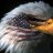 ThePatriot
